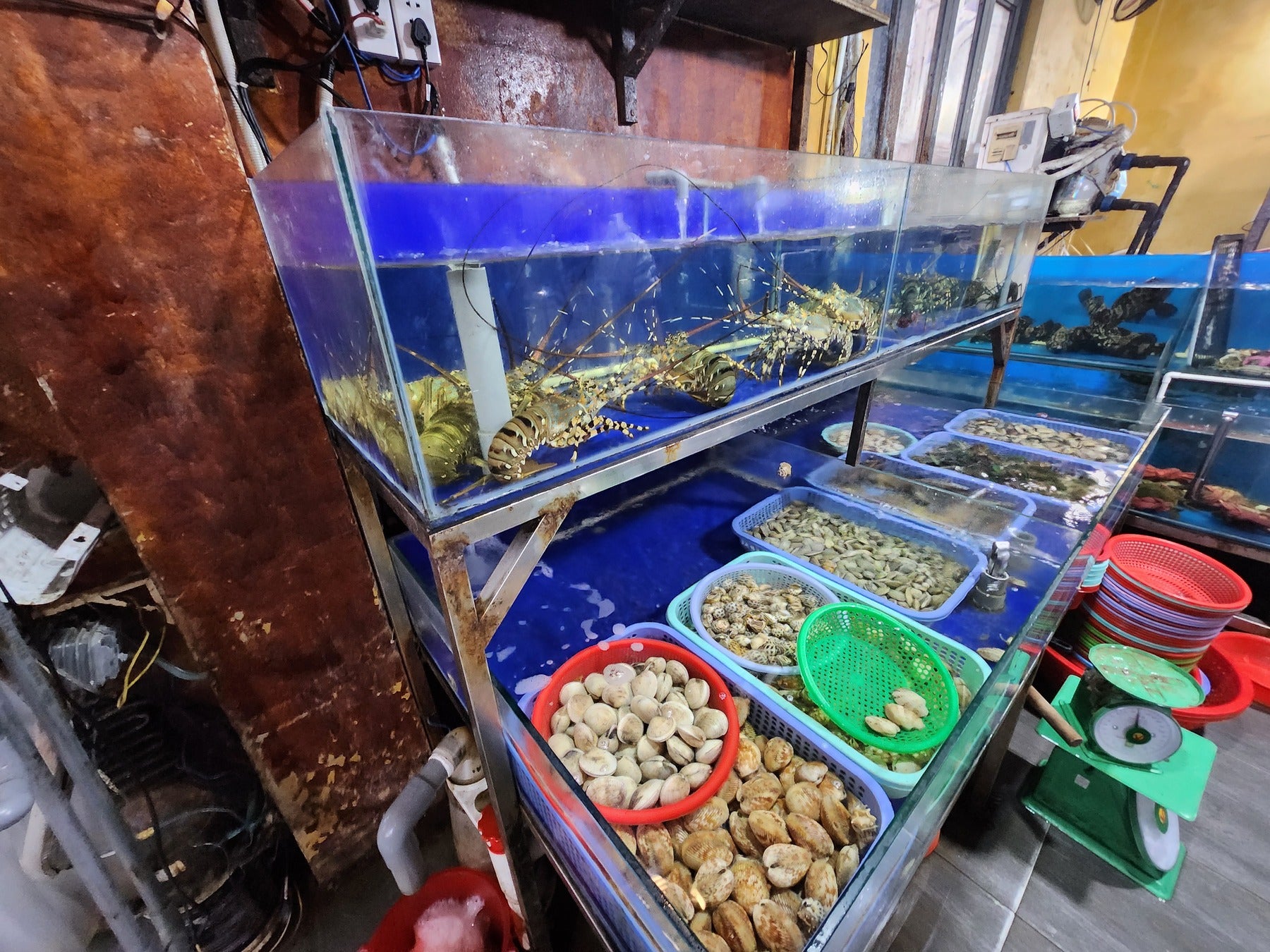 クアン・ハイ・サン・ベー・アン2