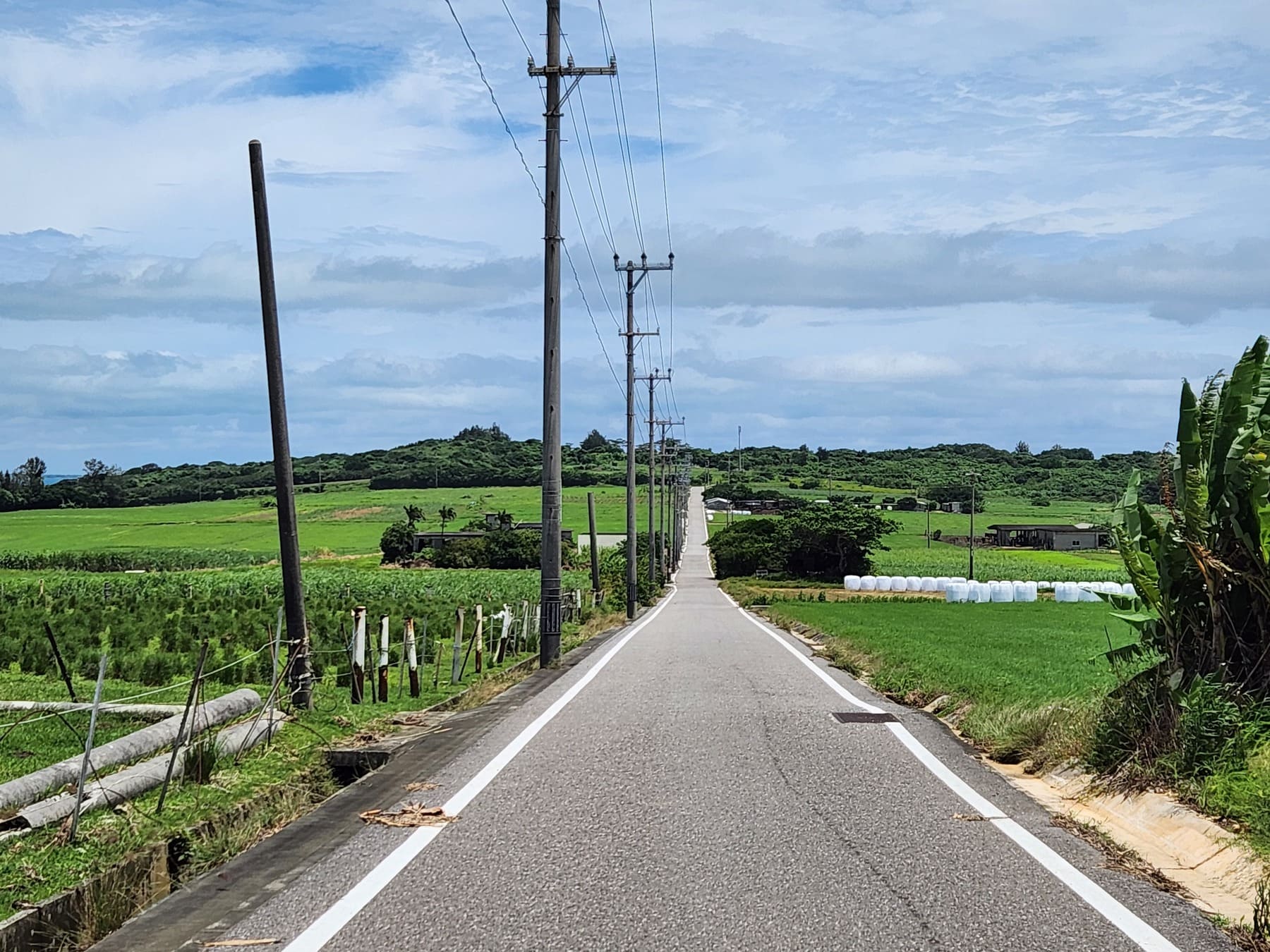 シュガーロード