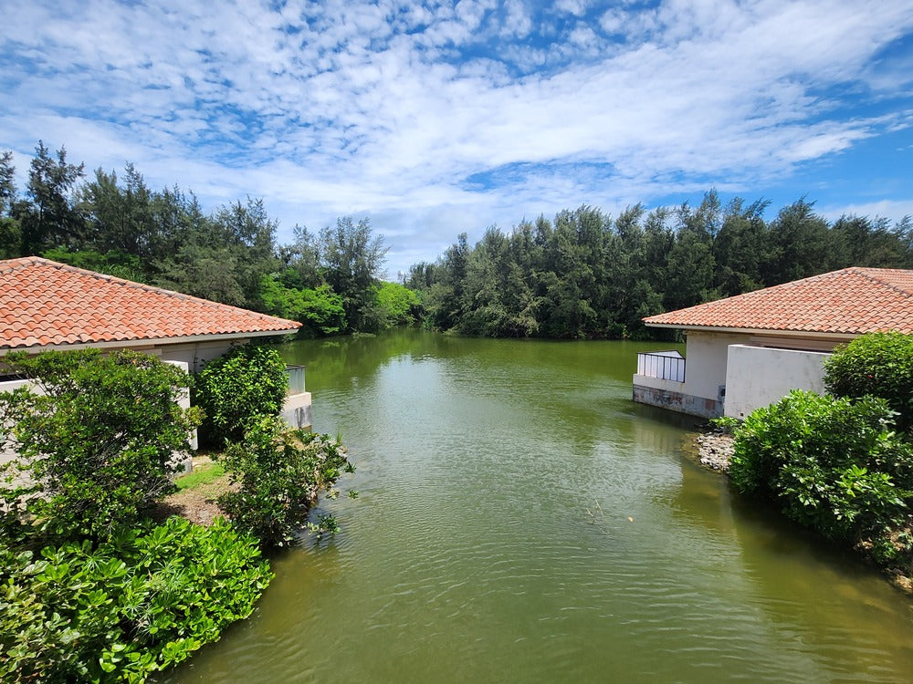 マングローブに浮かぶヴィラ