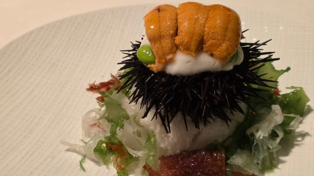 オーシャン富士