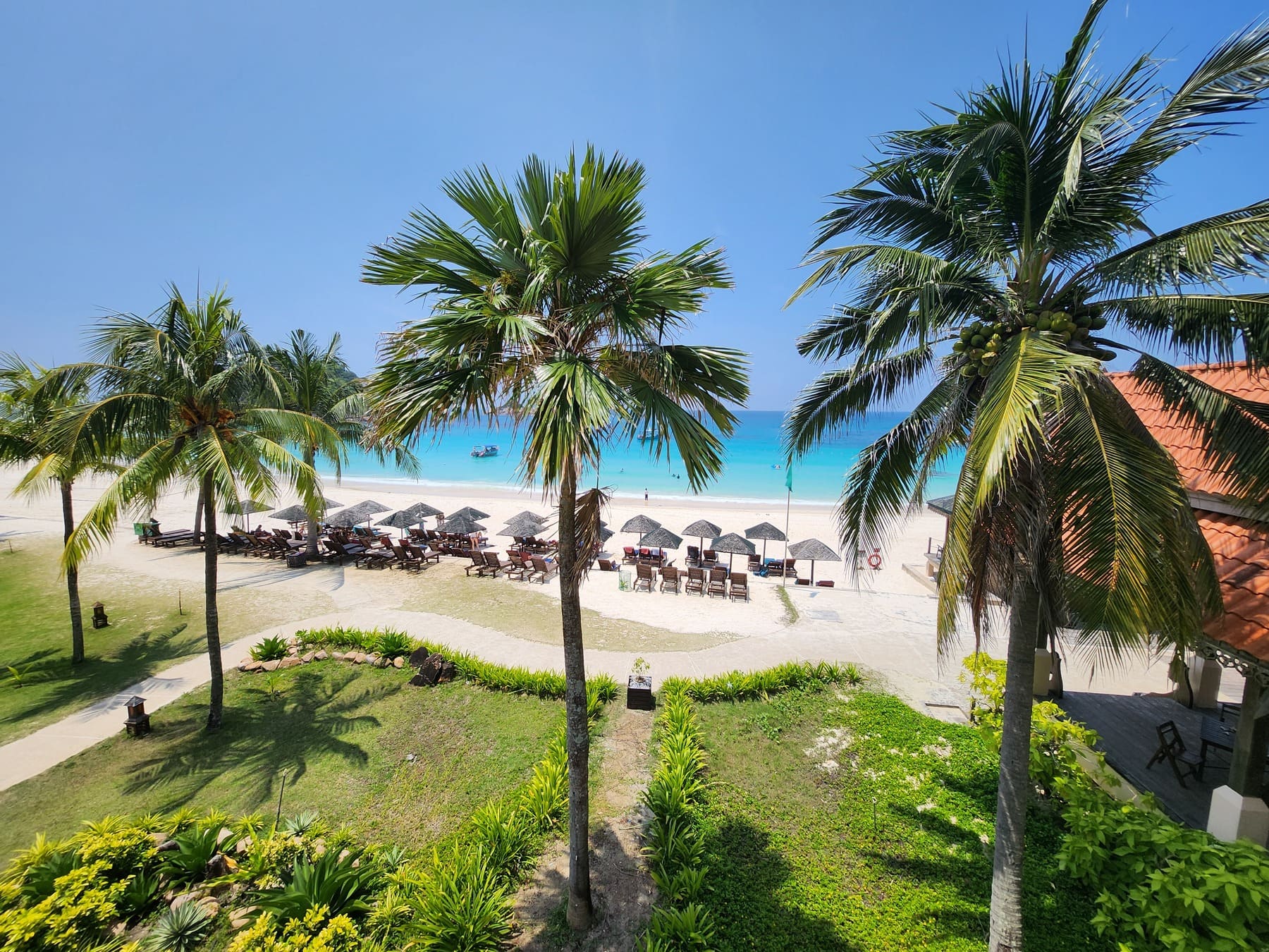 ビーチと椰子の木